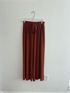 Soho Apparel Pleated Wide-Leg Pants in Rust